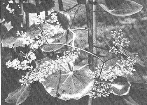 B. U001